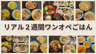 【11日分】約2週間のワンオペごはん🍚 | 5歳&1歳半と私のリアルな毎日