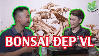 Đột nhập Xưởng BONSAI VL AQUA, có gì HOT?