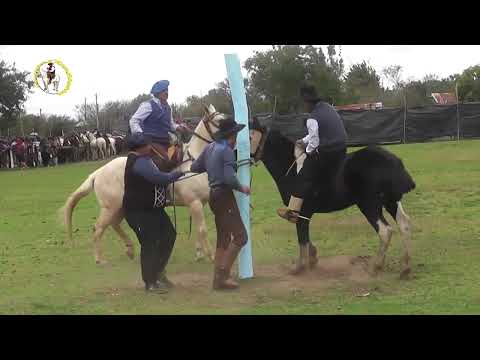 jineteada predio de la Familia Vargas Yapeyù Ctes 1era parte #caballos #jinete #charreada #jaripeo