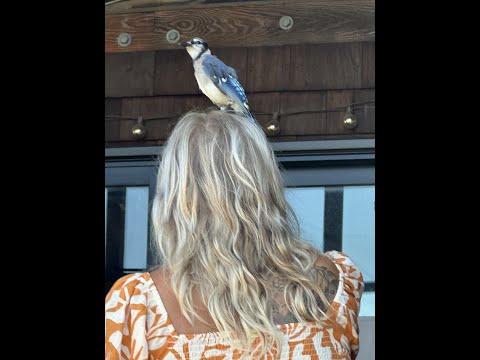 Don and Diane Shipley LIVE -July 7th at 1800 EST Thumbnail