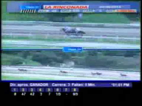 3ERA CARRERA DOM 24 JUNIO LA RINCONADA AUDIOHPISMO