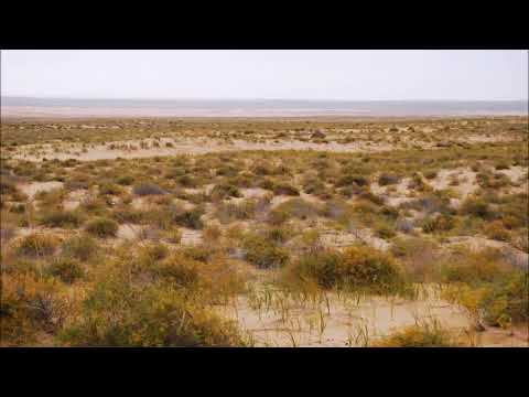 anastassis philippakopoulos  piano 2 (1992 / revised 2002)  teodora stepančić