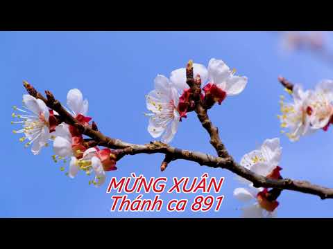 MỪNG XUÂN #Thánh ca 891# COVER