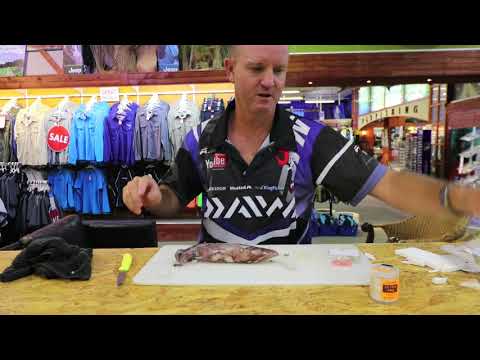 2018 BAITS - Slide Bait for Hammerhead Sharks