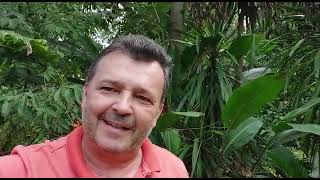 Avaliação da lei de integração do setor fumageiro