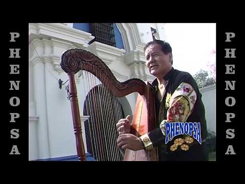 " EL TORERO " Lucio Pacheco cumbia con arpa  HD