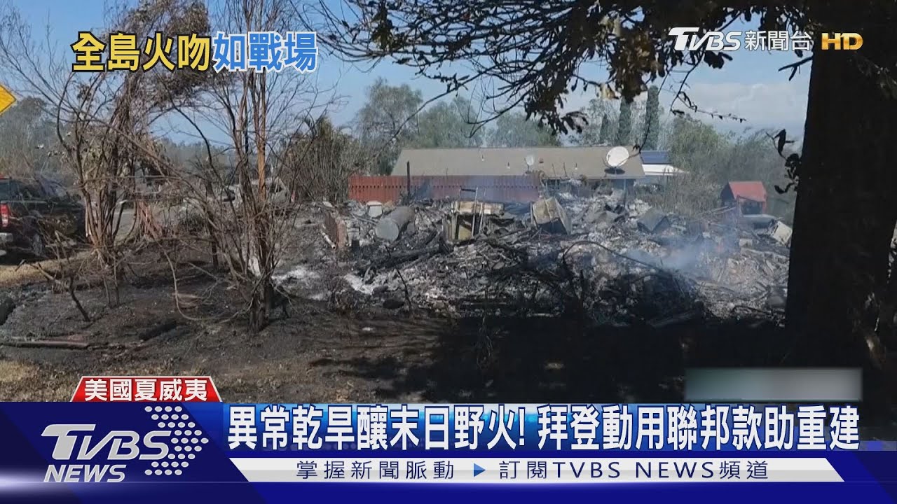 「末日野火」毀鎮奪55命!夏威夷千人失蹤 一家7口跳海抓浮板生還