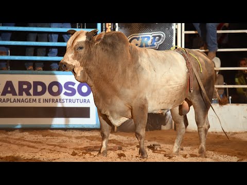 SEMI FINAL EM TOUROS - Rodeio de MONÇÕES 2022