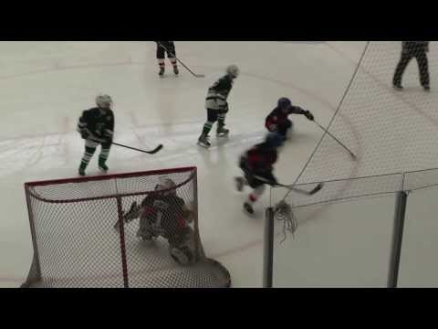 Tatabányai Polipok .Vasas HC torna 5