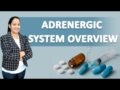 Adrenergic System Overview: Noradrenaline Synthesis, Receptors & Toxin Mechanisms | ANS Pharmacology