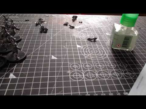 Assembling BB2020 Amazons!