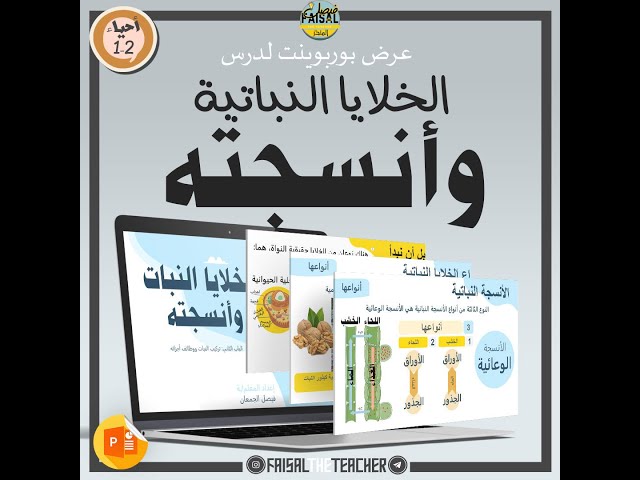 عرض لدرس الخلايا النباتية وانسجته