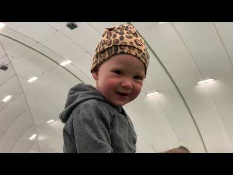 BP11-2 vs Viksjö11-1