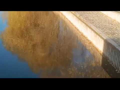 Izmaylovo minus one (Clip)