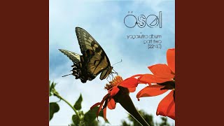 1.29 Tataḥ Pratyakcetanādhigamo’pyantarāyābhavaś Ca (Avoiding Obstalces)