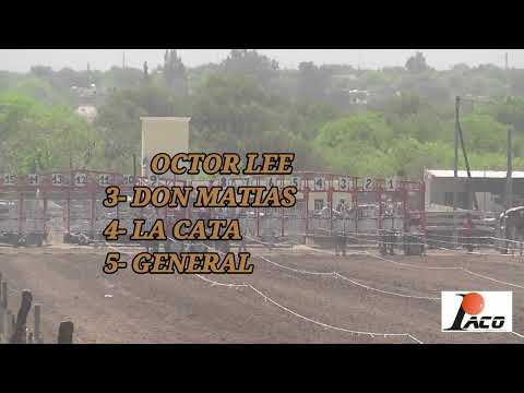 DOCTOR LEE HIPODROMO DON SOHAR CRUZ DEL EJE 9 10 2022