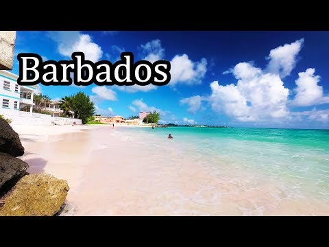 Videos del Barbados Beach Club Resort 3★ en Christ Church, Barbados
Ver Más
Ver
Precios
19
Cerrar
Consulta por Whatsapp 🇦🇷
Booking
Tripadvisor
Expedia
Agoda
Travelocity
Orbitz
Priceline
Trip
Skyscanner
Despegar
Kayak
Hoteles
Trivago
Turismocity
Lastminute
Hotwire
Cheaptickets
Tui
Wotif