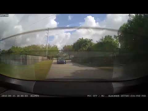 Same Corner as the last video - SW 144 St / SW 74 Ave