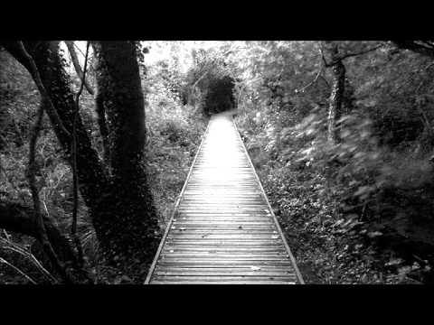 Leverage & BB - Every Step