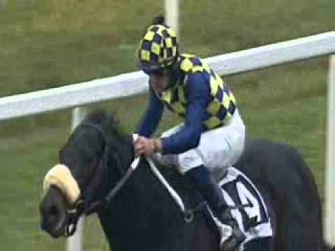 Premio Enrico Camici 2011 (LISTED RACE)