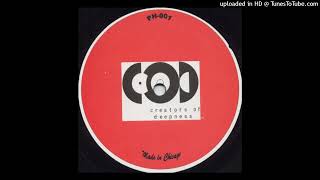 DJ Pierre - Matrix Chamber (Phuture 303's Deep Underground Mix) 1999