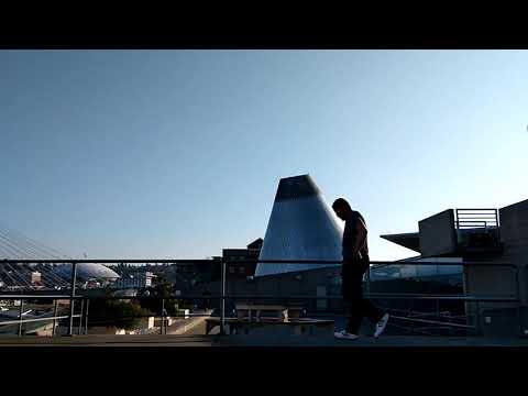 Hidden Citizens ft. Vo Williams - Rise or Fall (Freestyle Dance)