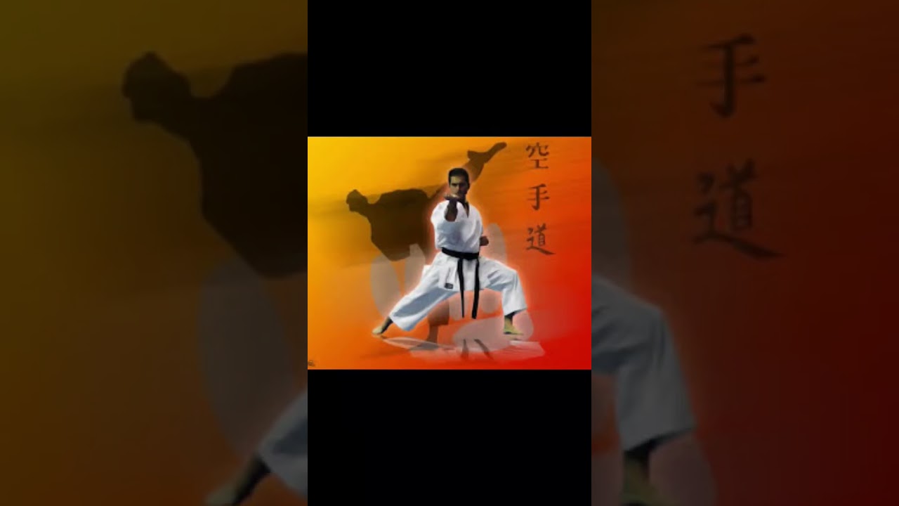Wallpaper for fan of karate.Fond d’écran pour fan de karate
