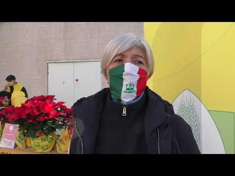 Lidia Castellucci sulle stelle di Natale regalate al San Donato