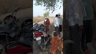  Agricultural Land for Sale in Parseoni, Nagpur