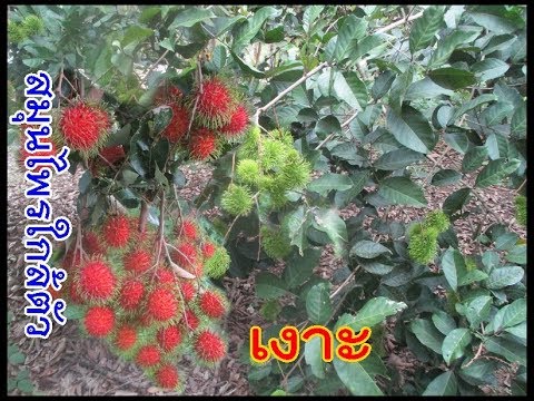 ความอ่อนแอโรคอุดตัน ท่าเซ็กซี่สำหรับสมาชิกหนุ่มสาว