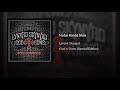 Lynyrd Skynyrd   God & Guns Disc 02    03 Hobo Kinda Man