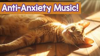11 Hours of Sleep Music for Cats 🐱 Calm Nights & Deep Rest