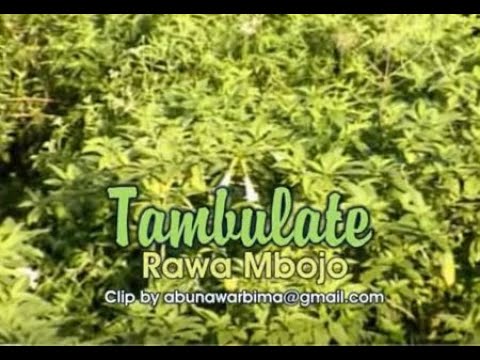 download lagu mp3 mp4 Lagu Bima Tambulate, download lagu Lagu Bima Tambulate gratis, unduh video klip Lagu Bima Tambulate