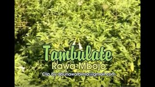 Download lagu TAMBULATE mp3 Download lagu TAMBULATE mp3