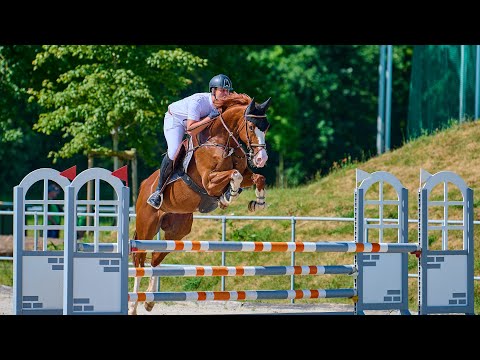Courlotta & Philip Bölle clear and placed 🏅 7y.o Coupe Gold - #quality 🌟 #horse #showjumping