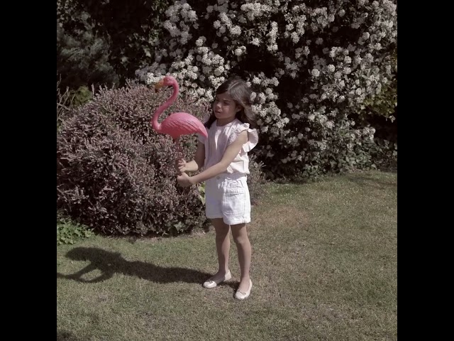 Vídeo relacionado con Bailarinas DE Piel Color Platino con Trenzados para Mujer LESKOVIC