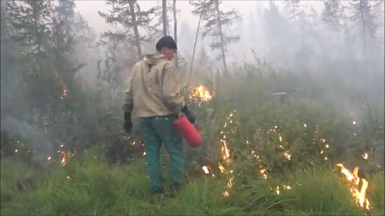 Поджечь лес что бы спасти село. Пожары в Якутии!