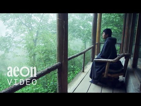 Chinese millennials take up the hermit’s life | Summoning the Recluse