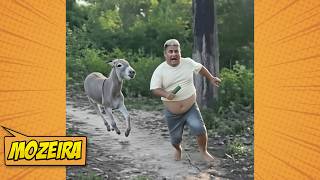 TENTE NÃO RIR 😂 MELHOR COMPILAÇÃO DE VÍDEOS ENGRAÇADO 2026👉 SE RIR, REINICIA O VÍDEO!