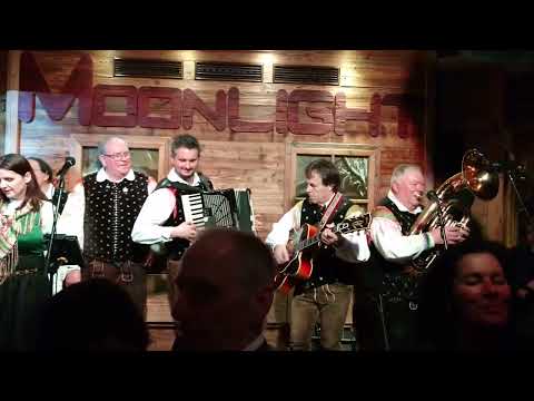 Alpski Kvintet / Die Alpenoberkrainer - Im Kiefernwald / Nabiraj šmarnice