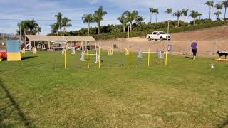 Download lagu 20201121 109725 Peek Pearl ComboPrs mod2 mp3