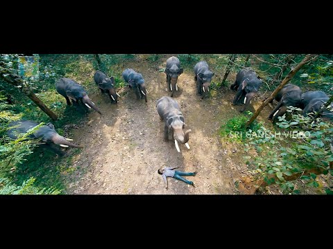 Elephant Gang Arrived Together to Rescue Yash From Rowdies | Gajakesari Kannada Movie