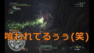 フレ３人でモンハンWその２