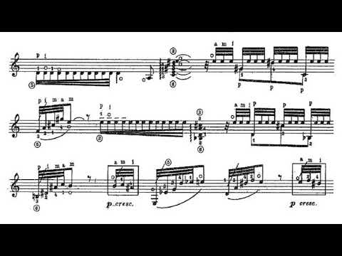 Edino Krieger - Ritmata for Guitar (Score video)