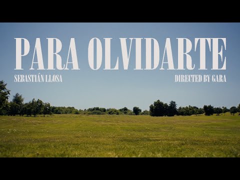 Sebastián Llosa - Para Olvidarte (Official Visualizer)