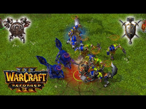 WC3 Focus (OR) vs Fortitude (HU)