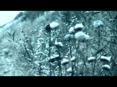 Benoit Cassar - Never Explain, Never Complain