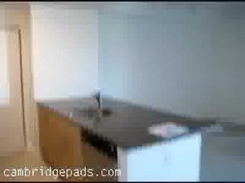 Gorgeous Cambridge MA Apartment For Rent