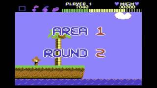 Wonder Boy Commodore 64 Review