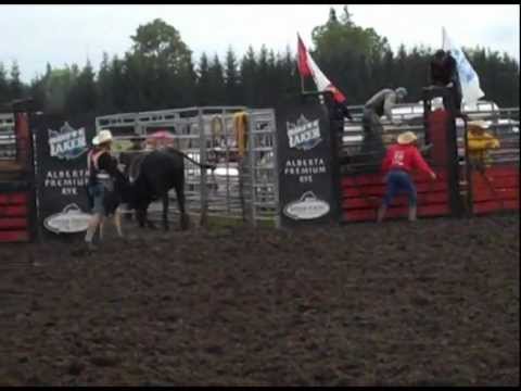IPM 2012 Rodeo